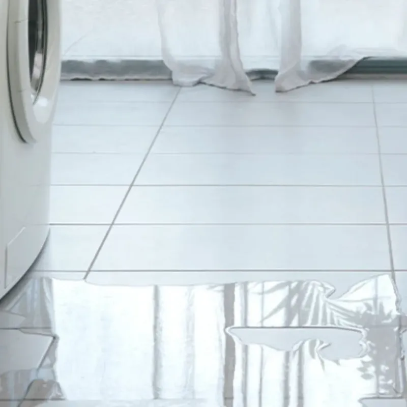 Appliance Leak Cleanup in Homestead Meadows North, TX