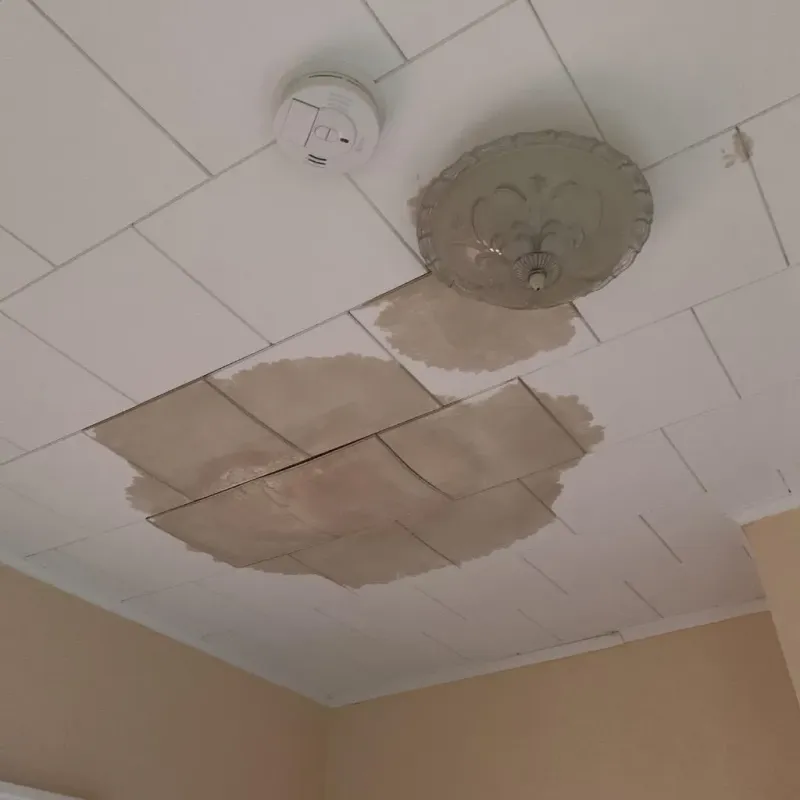 Ceiling Water Damage Repair in Homestead Meadows North, TX