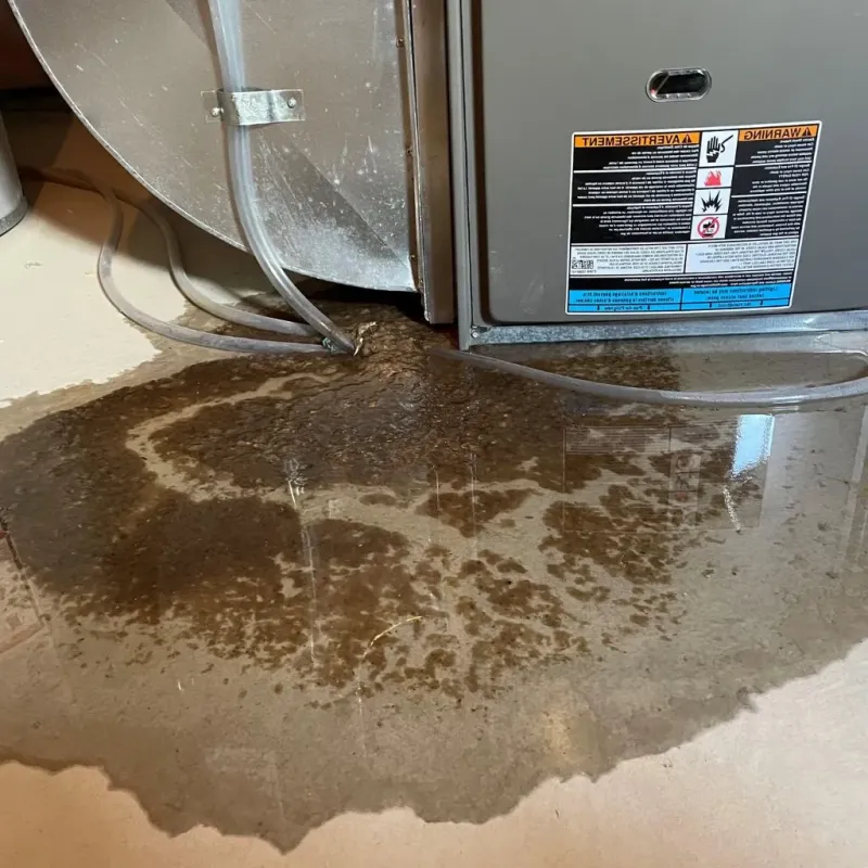 Pipe Burst and Leak Restoration in Homestead Meadows North, TX