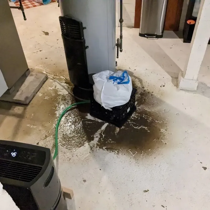 Sewage Backup Cleanup Service in Homestead Meadows North, TX